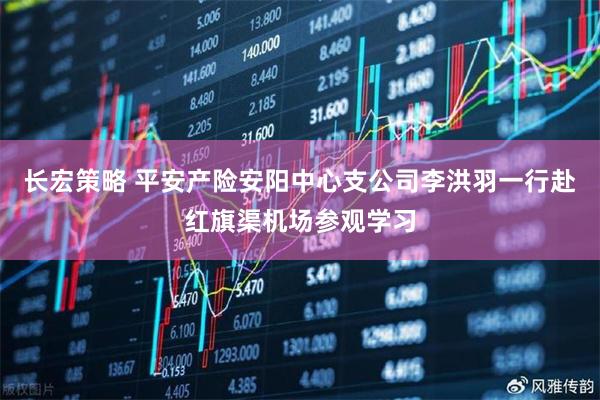 长宏策略 平安产险安阳中心支公司李洪羽一行赴红旗渠机场参观学习